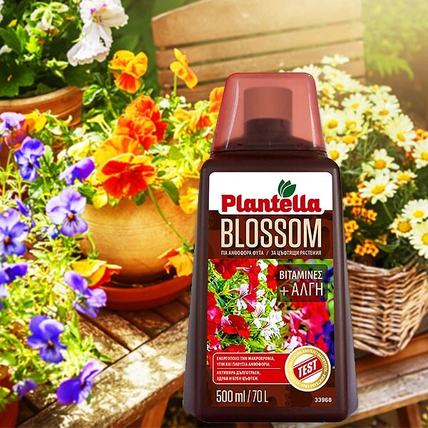 Течен тор за цъфтящи растения Plantella